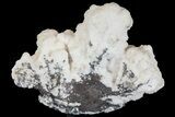 Manganoan Calcite and Kutnohorite Association - Fluorescent! #169796-1
